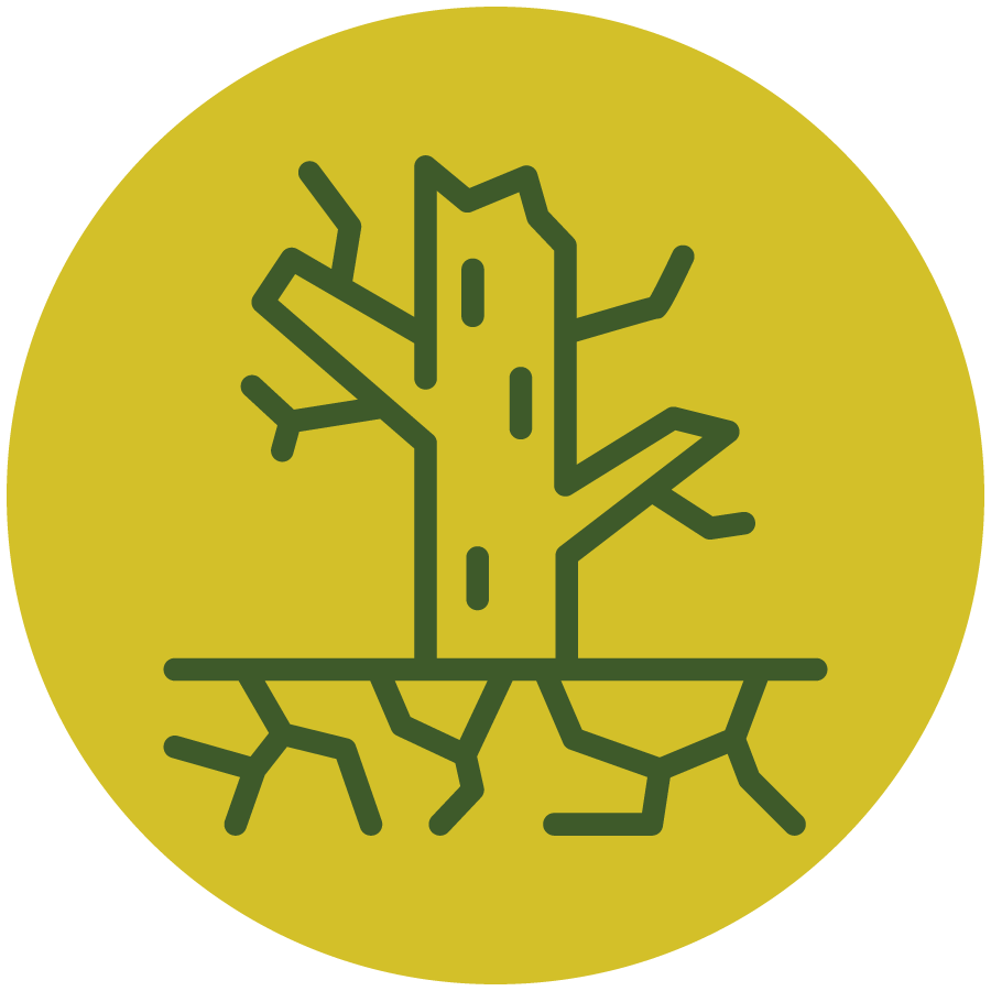 An icon of a tree without leaves in a yellow circle.