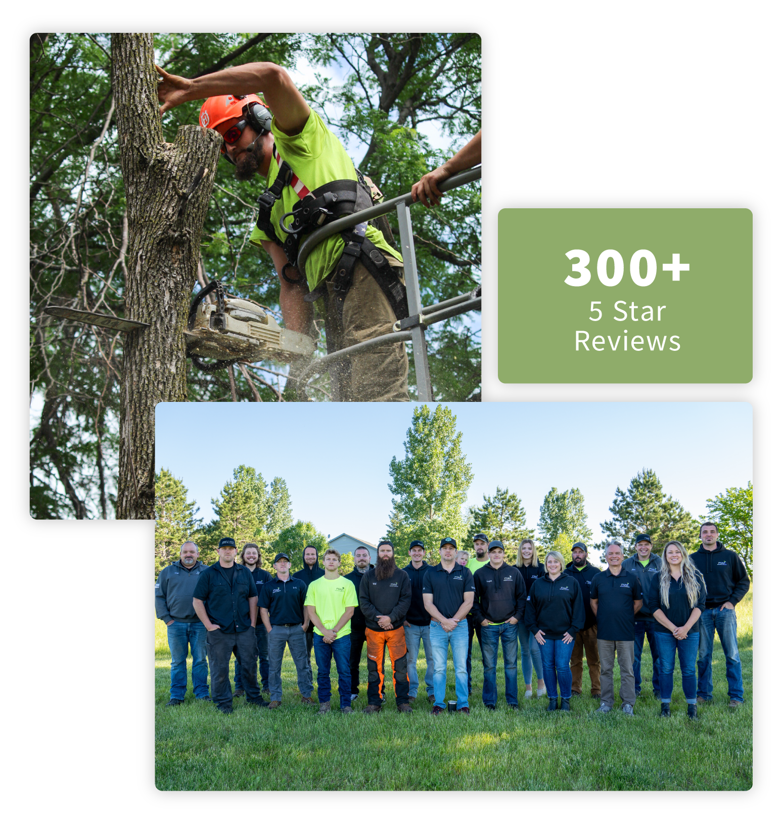 NWI Tree service 5 star reviews