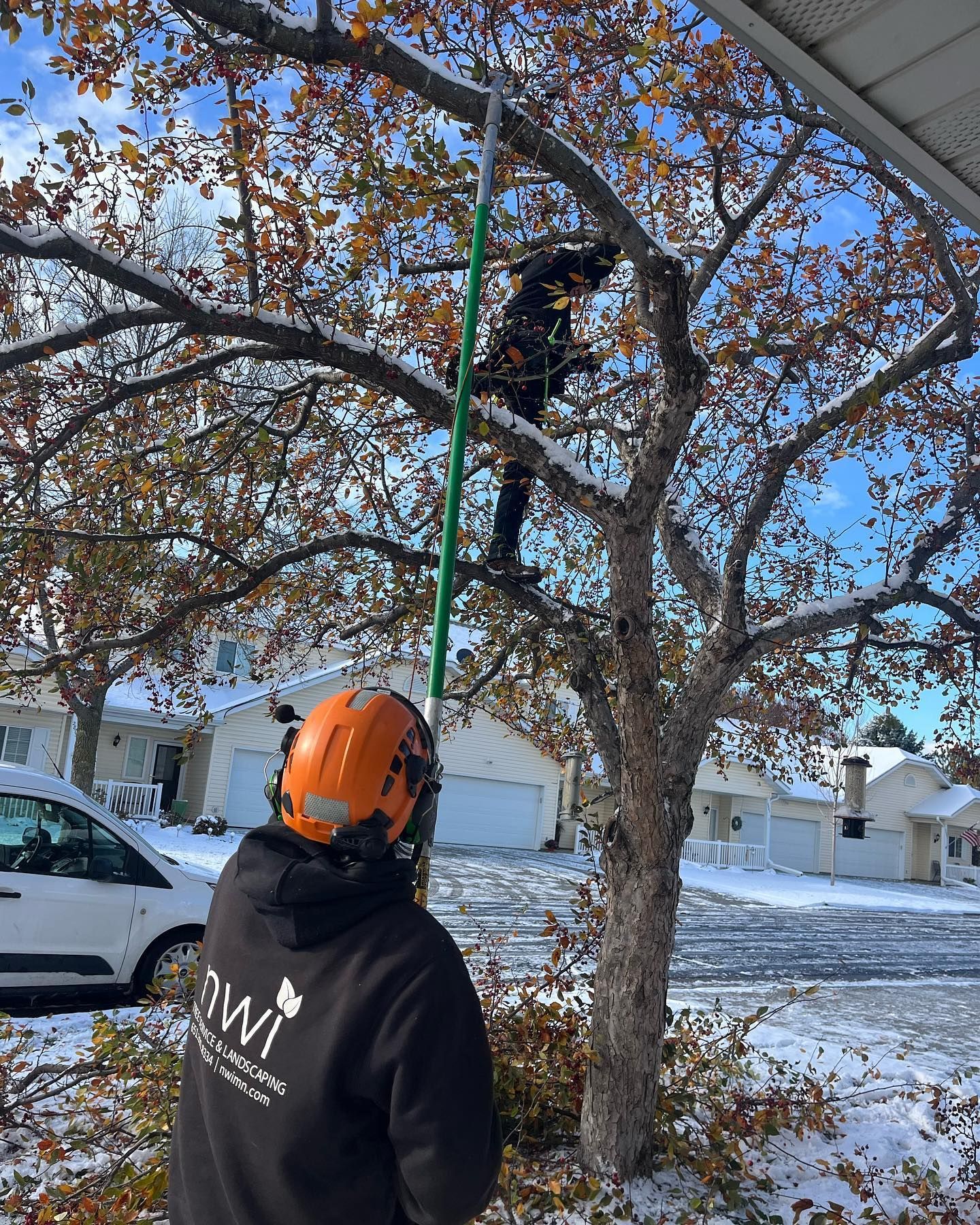 tree trimming in neighborhood snow