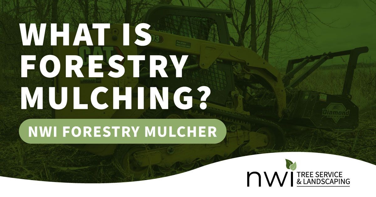 A poster explaining what is forestry mulching