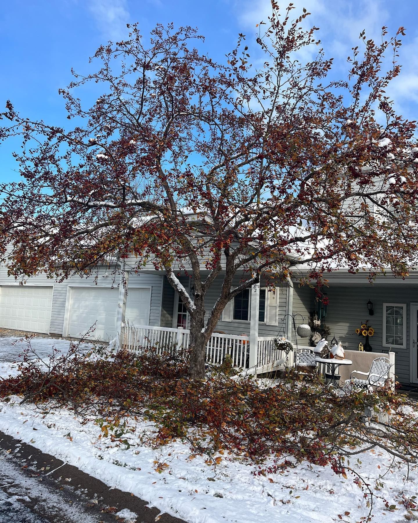 A house with a porch and a tree in front of it covered in snow.