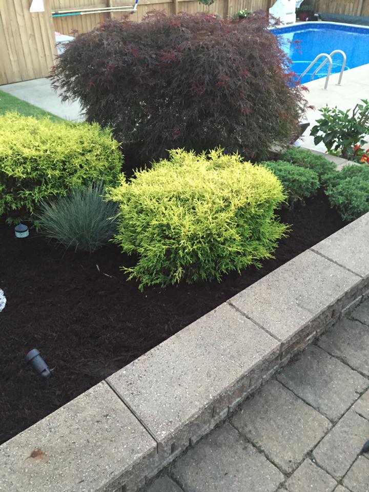 Garden Beside The Swimming Pool — Alliance, OH — Delmoro Landscaping