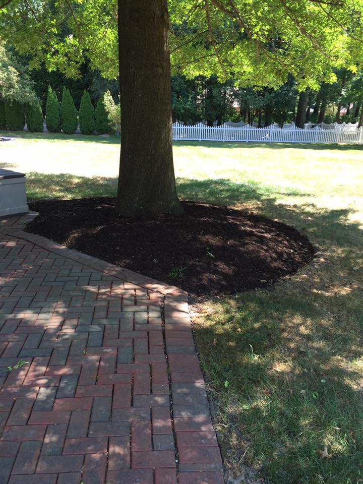 After Leaf Removal — Alliance, OH — Delmoro Landscaping