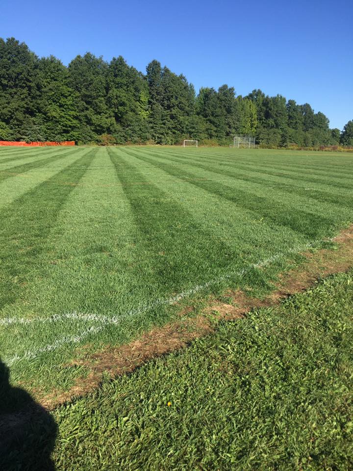 Brush Hogging — Alliance, OH — Delmoro Landscaping