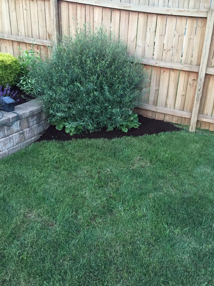 Newly Installed Mulch — Alliance, OH — Delmoro Landscaping