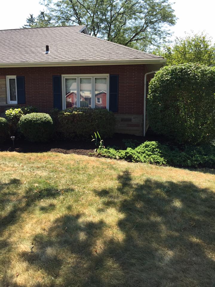 Landscape Clean Up — Alliance, OH — Delmoro Landscaping