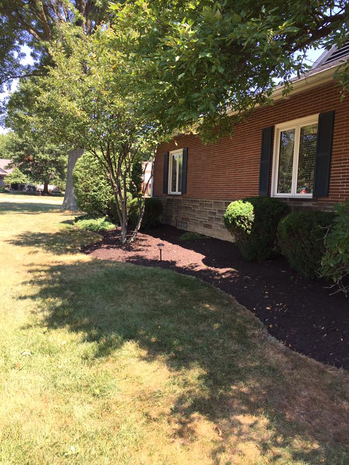 Fall Clean Up — Alliance, OH — Delmoro Landscaping