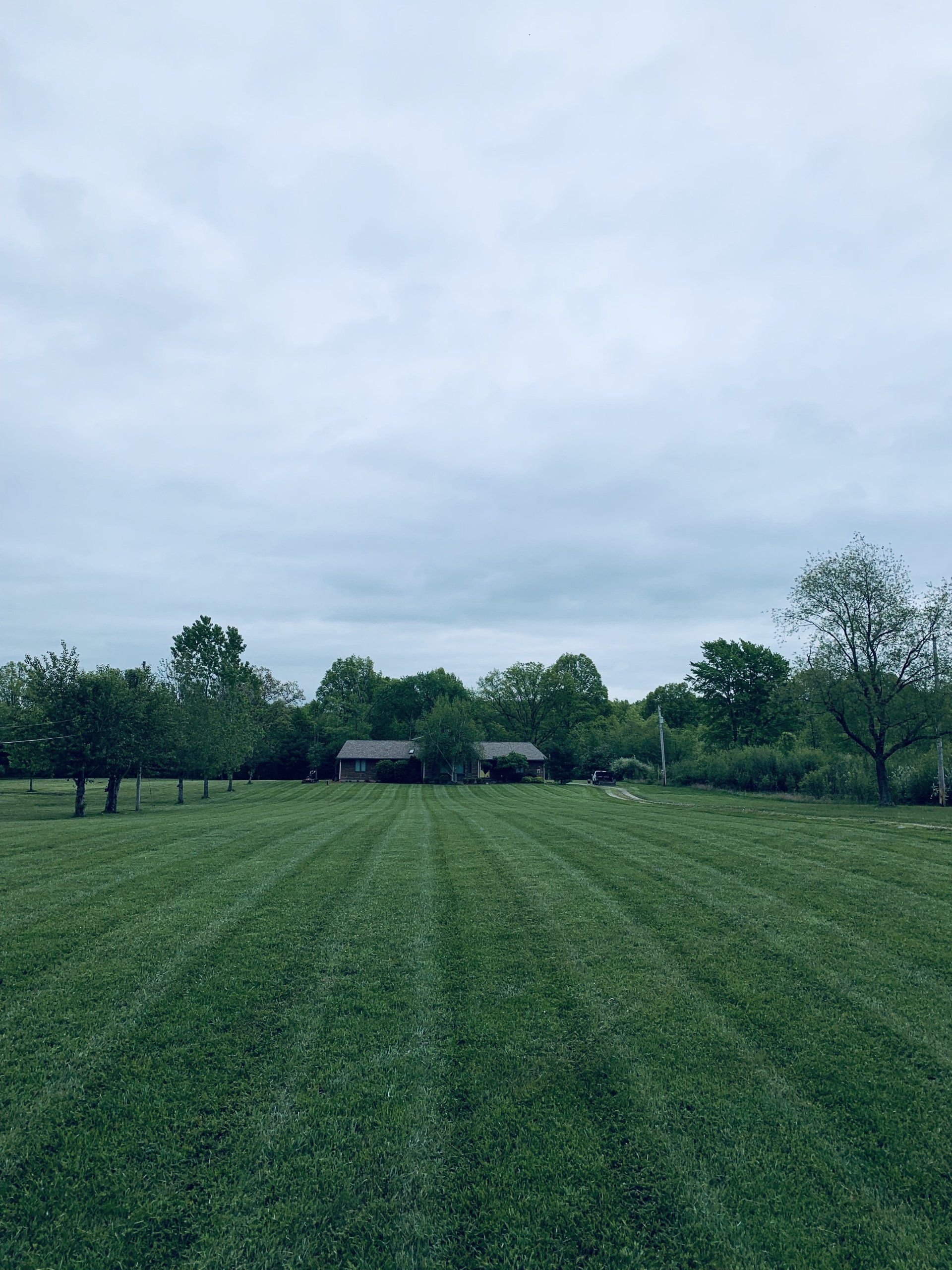 Seasonal Clean Up — Alliance, OH — Delmoro Landscaping