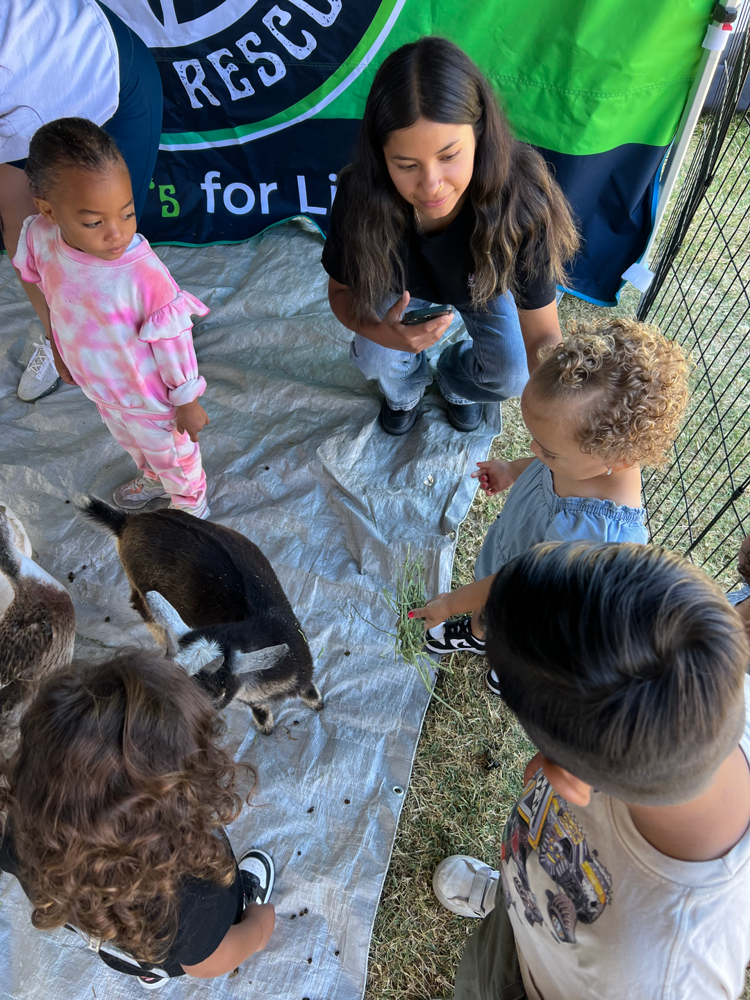 A group of children are standing around a group of animals.