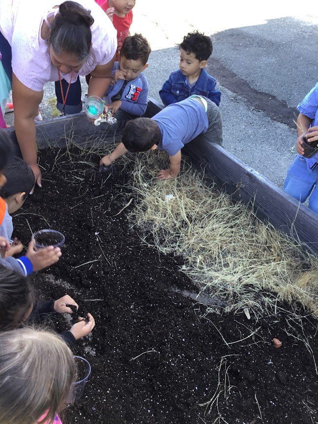 A group of children are playing in a pile of dirt.