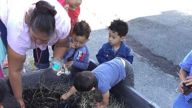 A group of children are playing in a planter with a woman.