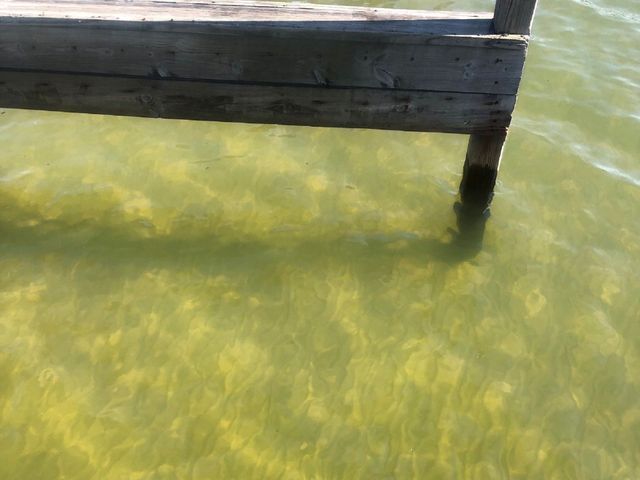 A wooden dock in the middle of a body of water