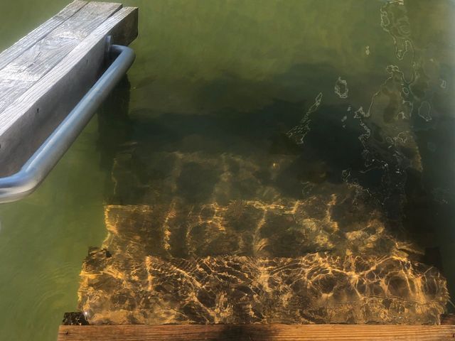 A wooden dock in the water with a blue railing