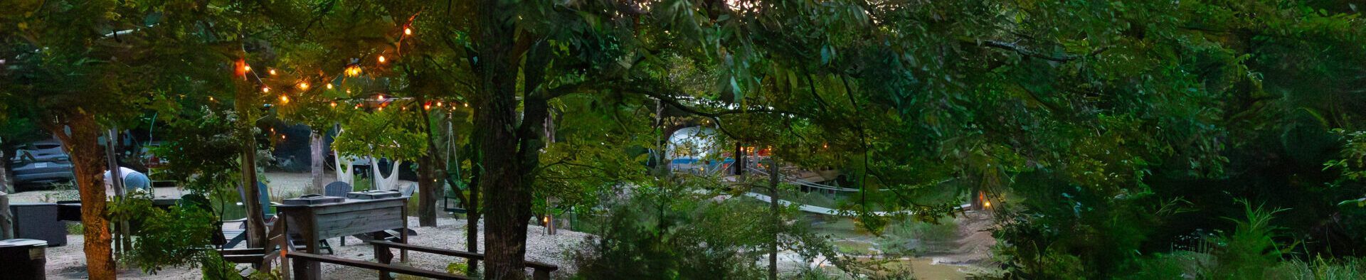 String lights over a tree-lined outdoor plaza with people walking at dusk