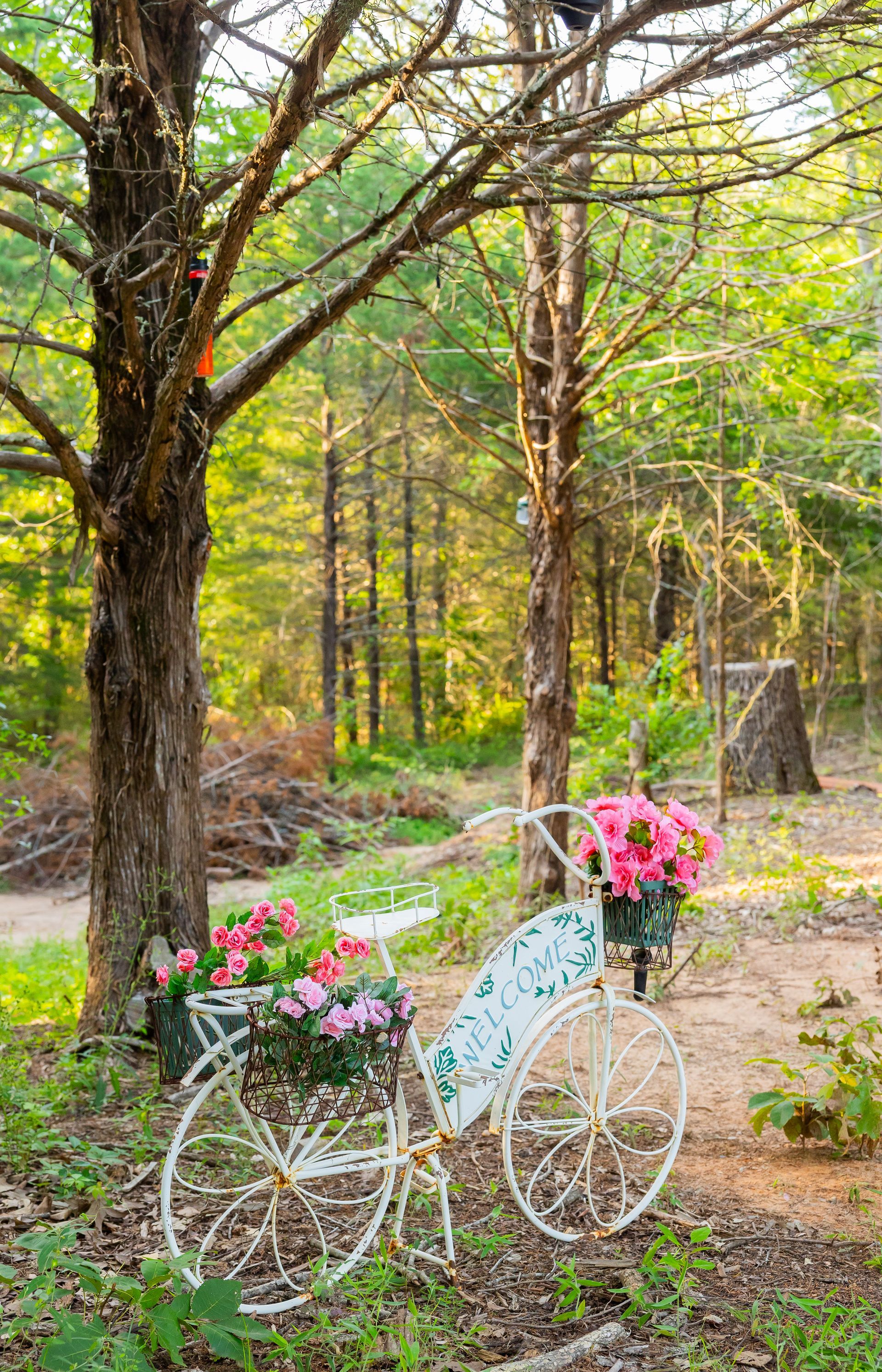 White decorative bicycle with pink flowers in a wooded garden clearing
