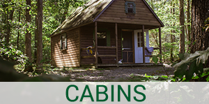 Cabin Rental