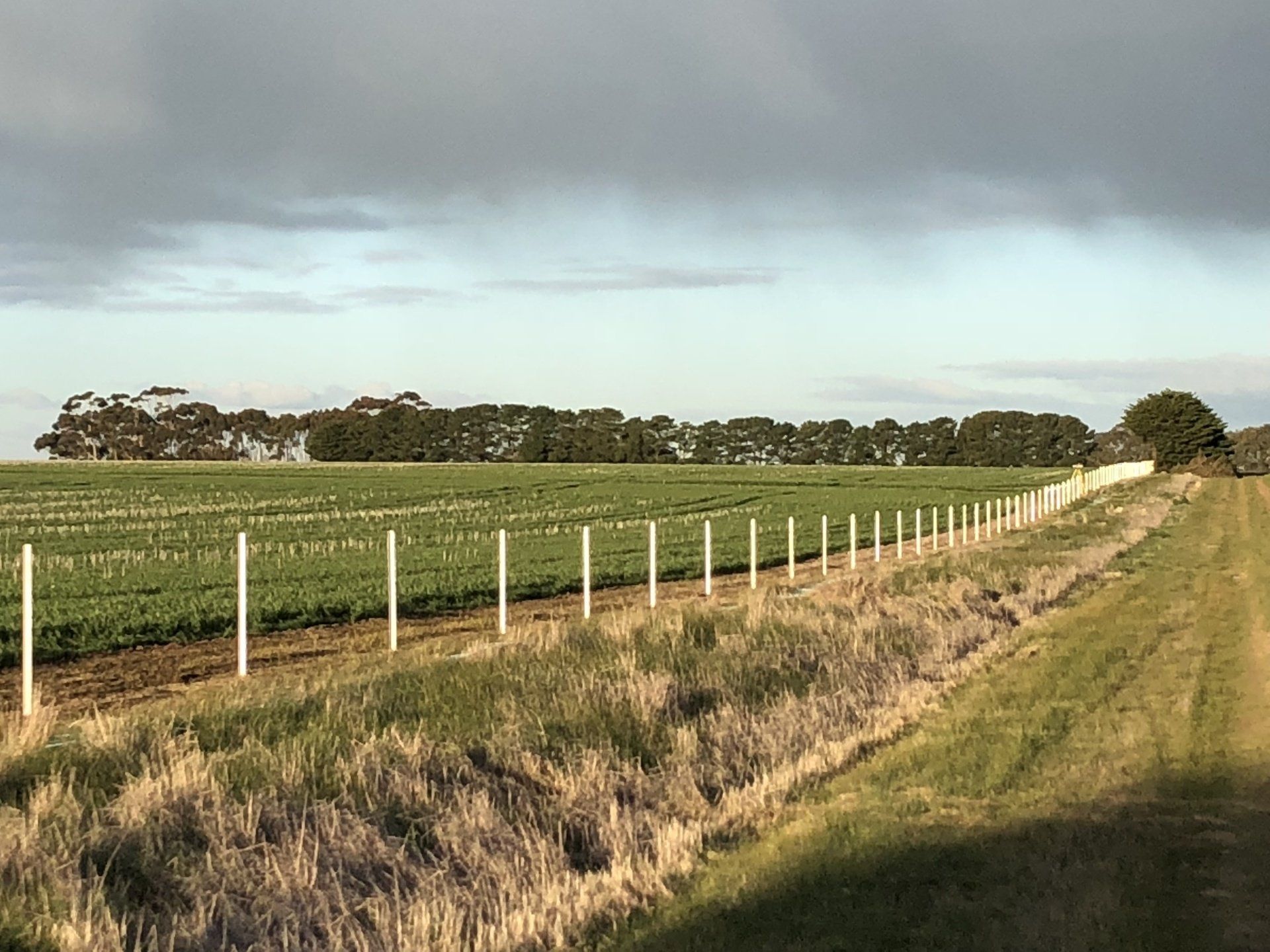Fences that are built to last Australian conditions
