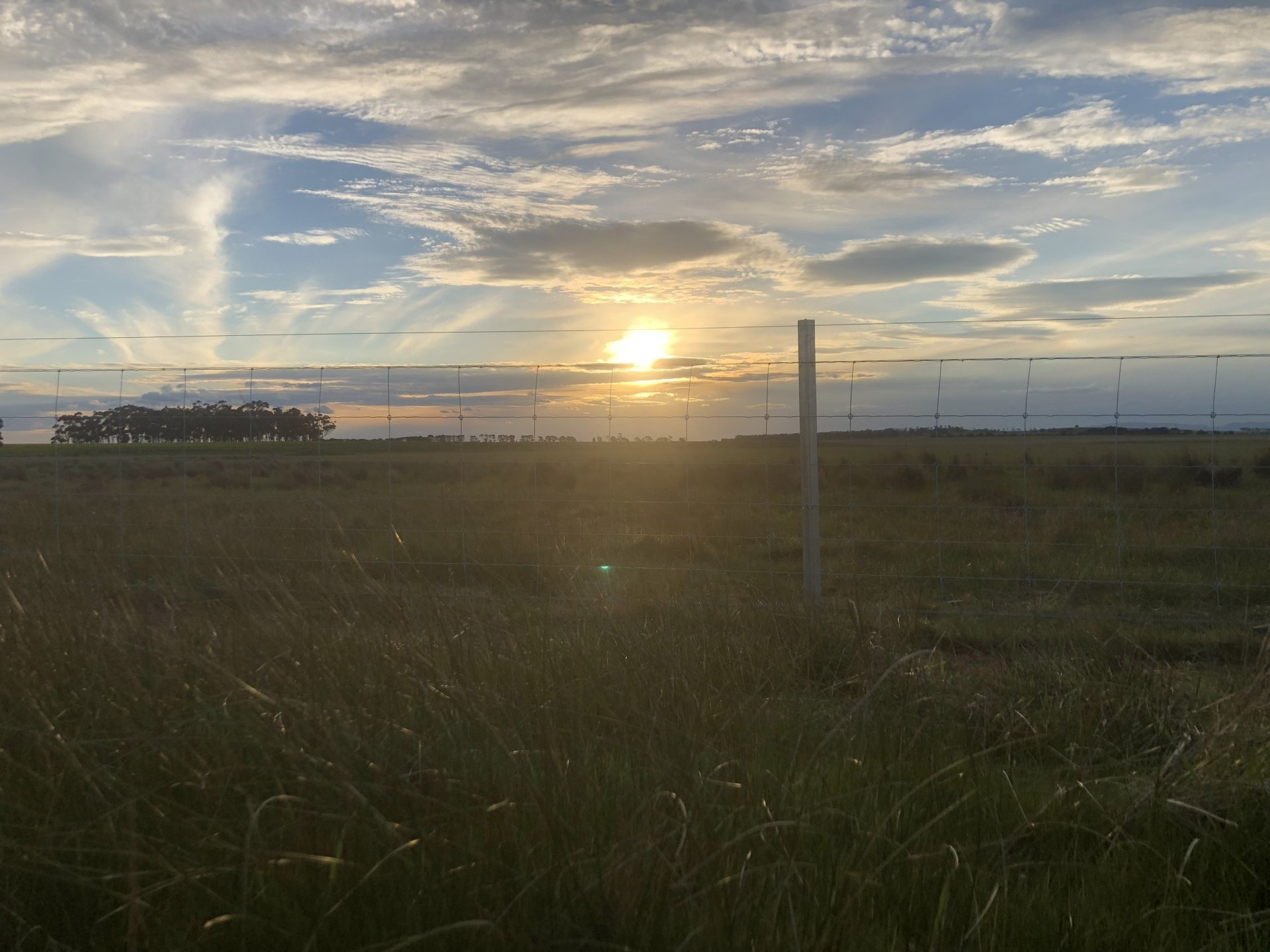 High quality fences outlast Australian conditions