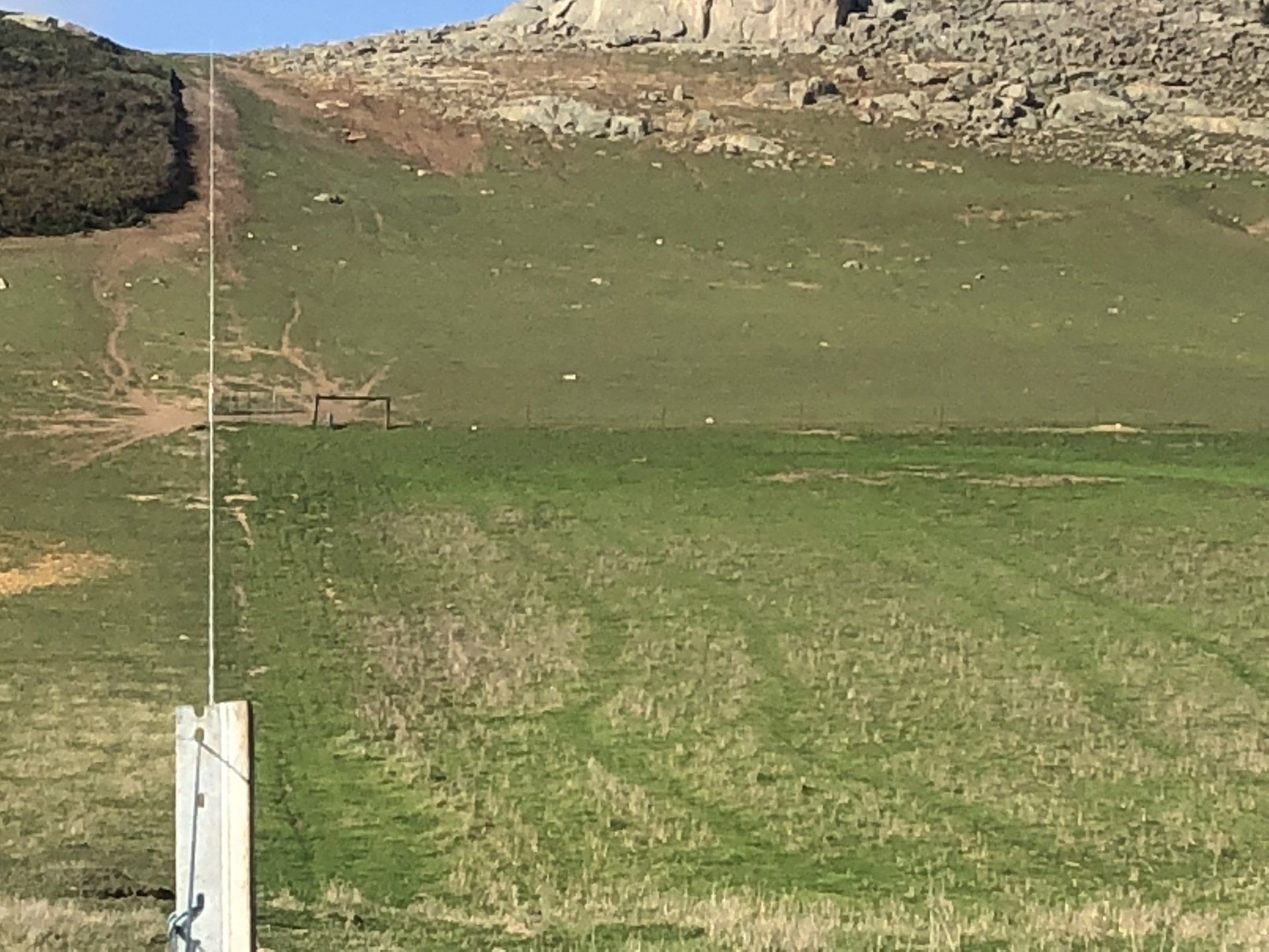 Dead straight paddock fencing