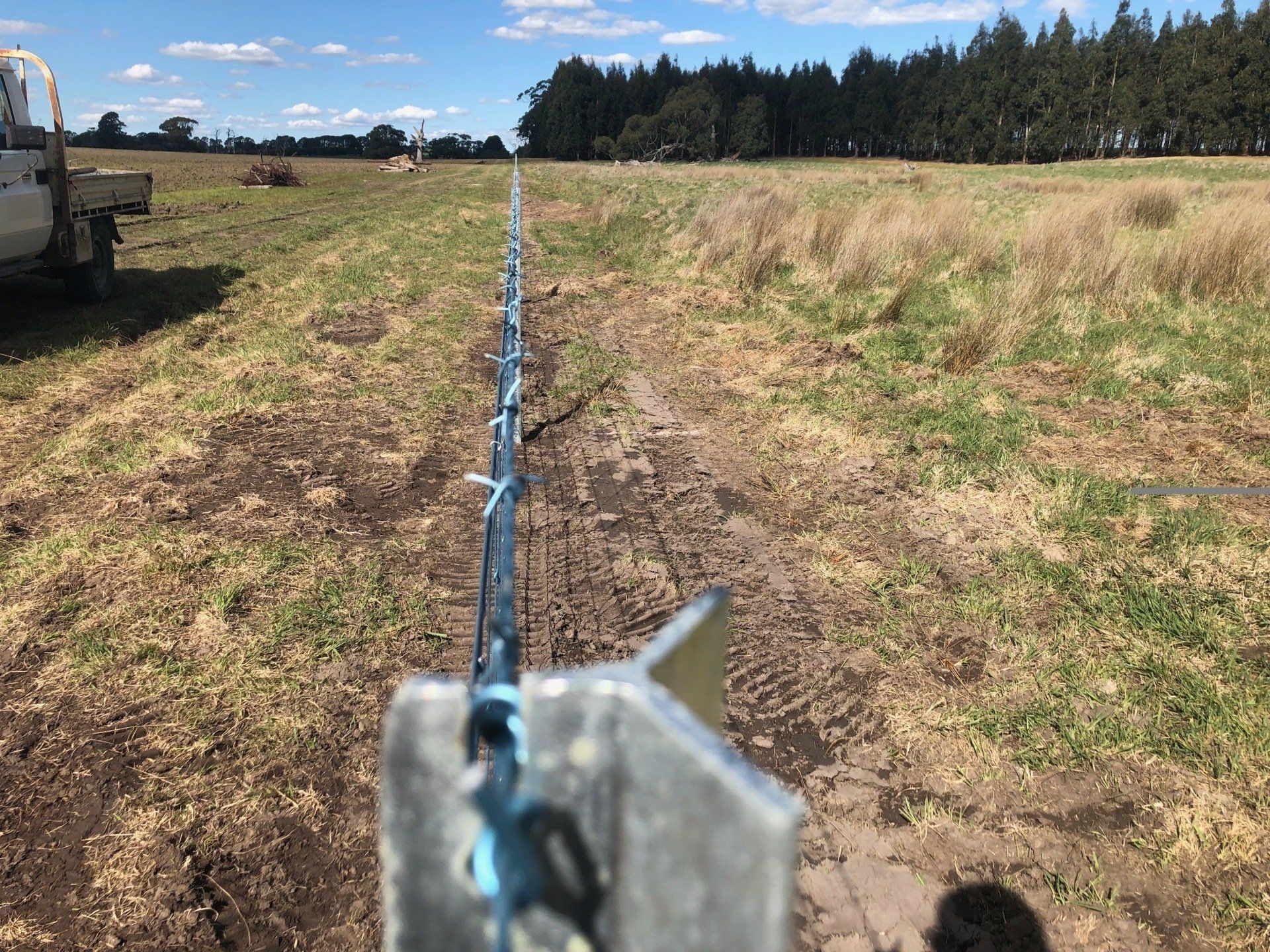 Dead straight and dead level fencing