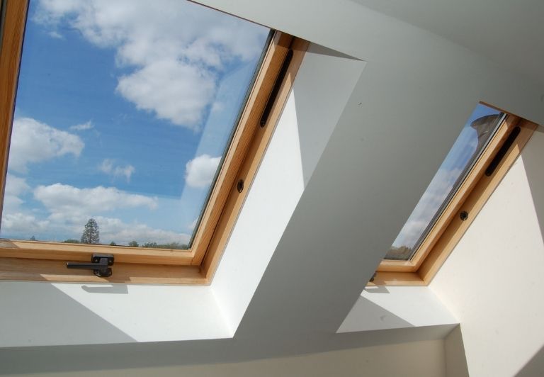 Ladders on a dark tiled roof, leading to a skylight and window. Cloudy sky.