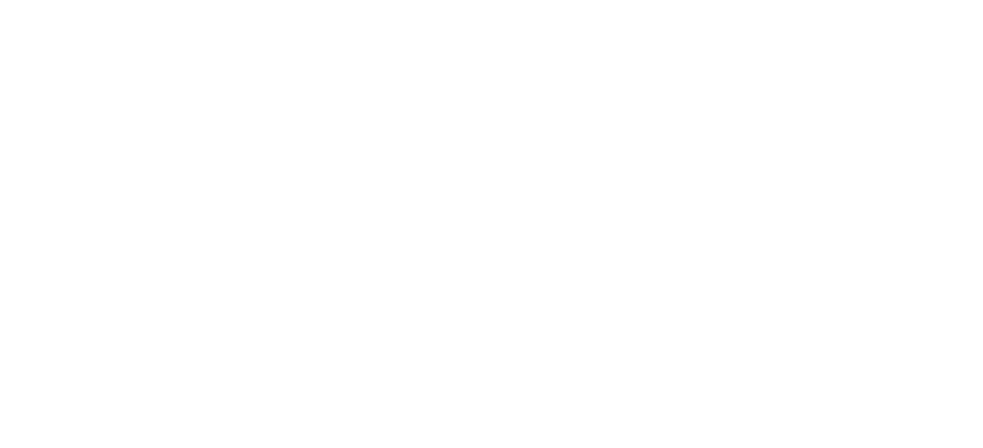 Duni Sanitation LLC logo