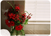Flowers - Window Expression - USA