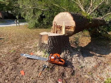 A chainsaw is sitting next to a tree stump.