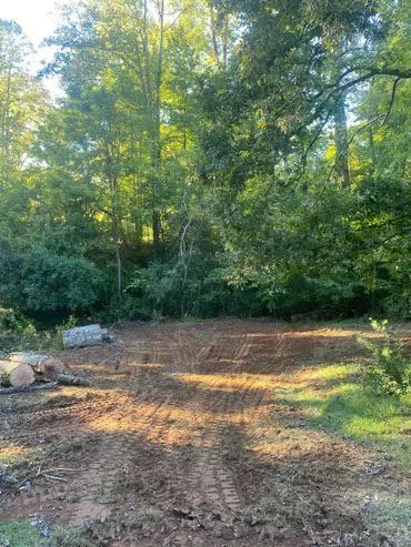 A dirt road in the middle of a forest with trees in the background.