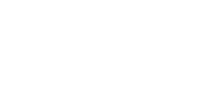 the vital stretch logo