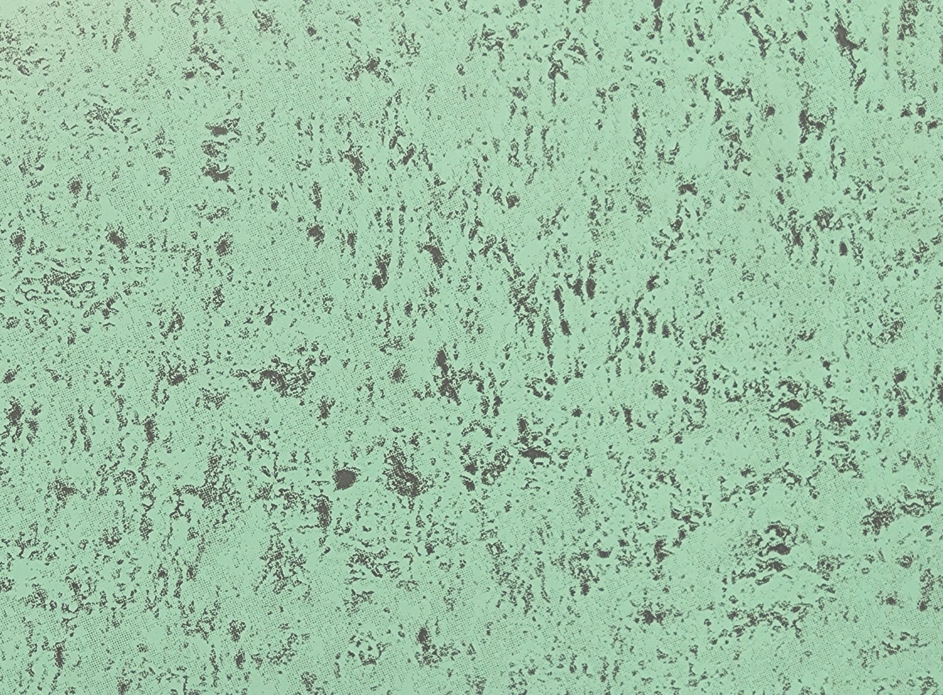 Pale green surface with mottled, dark gray texture.