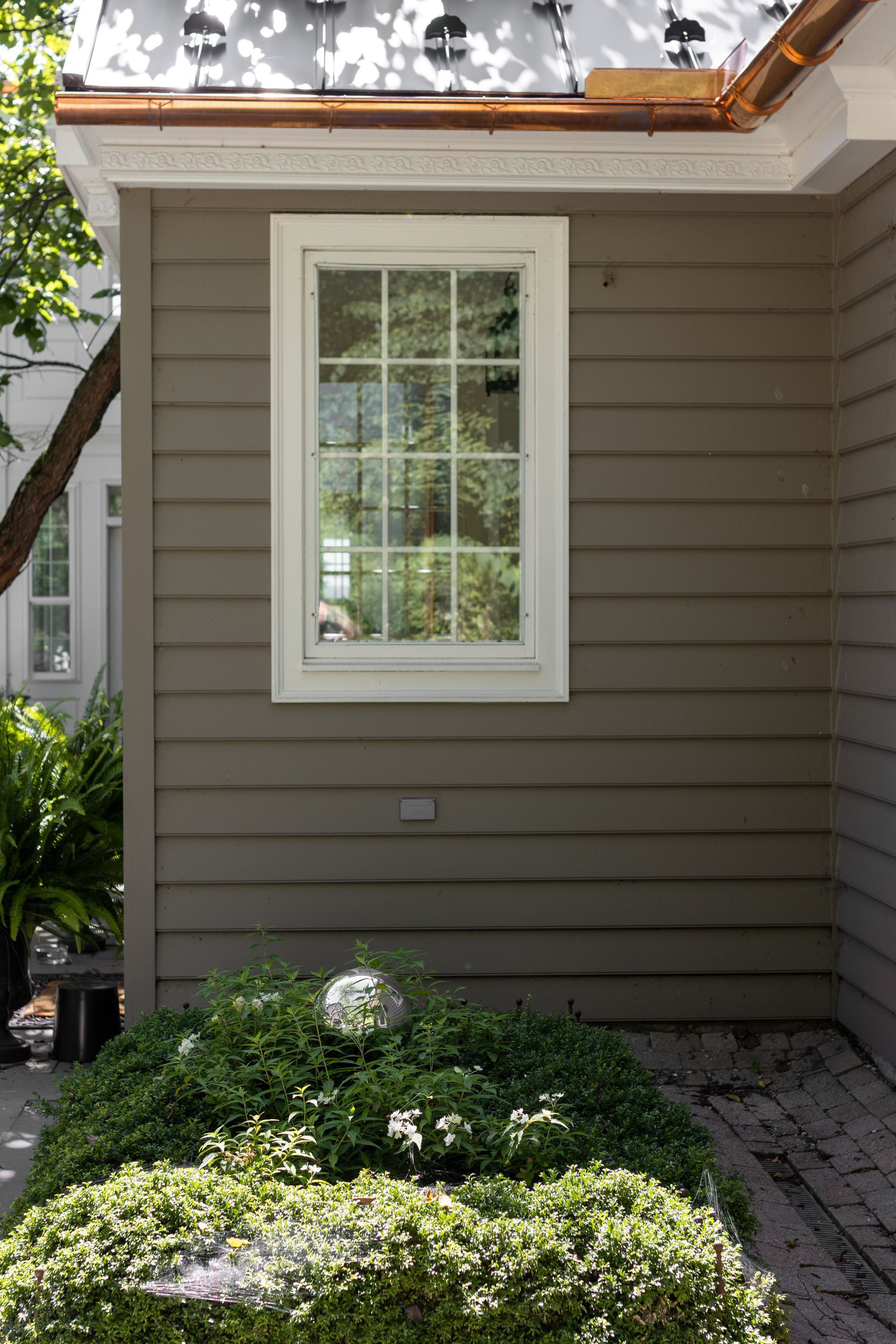 Window on a gray siding wall with white trim, above a green bush in an outdoor setting.