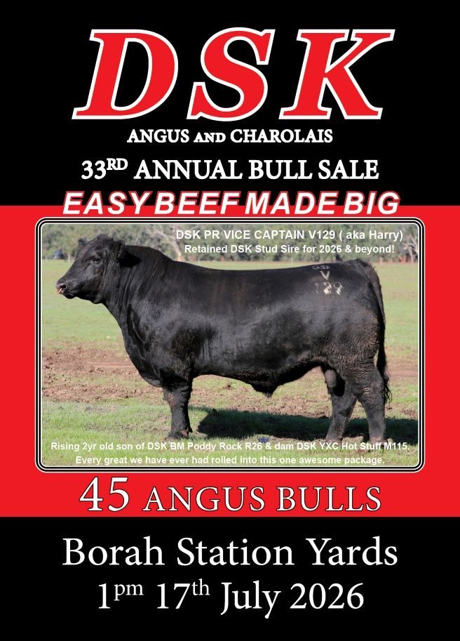 PDF VIEWABLE FULL 2026 CATALOGUE