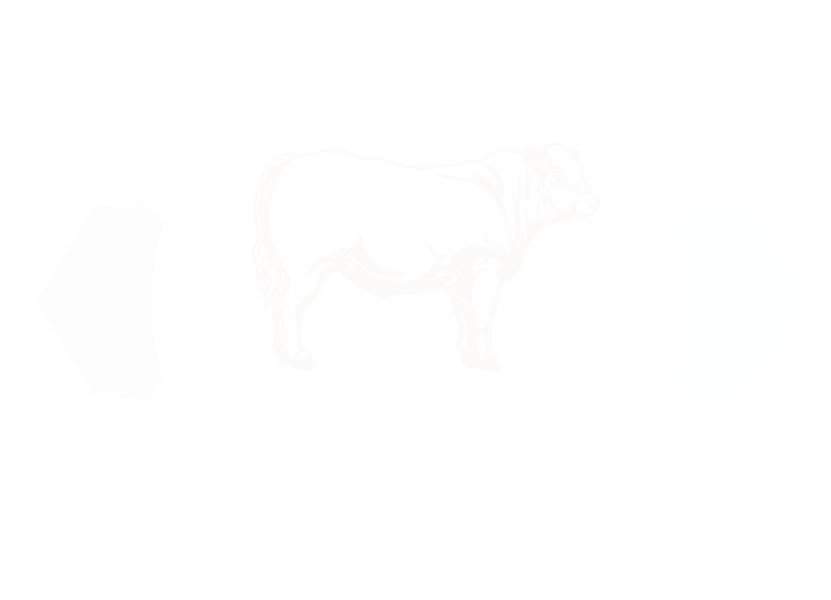angus and charolais logo