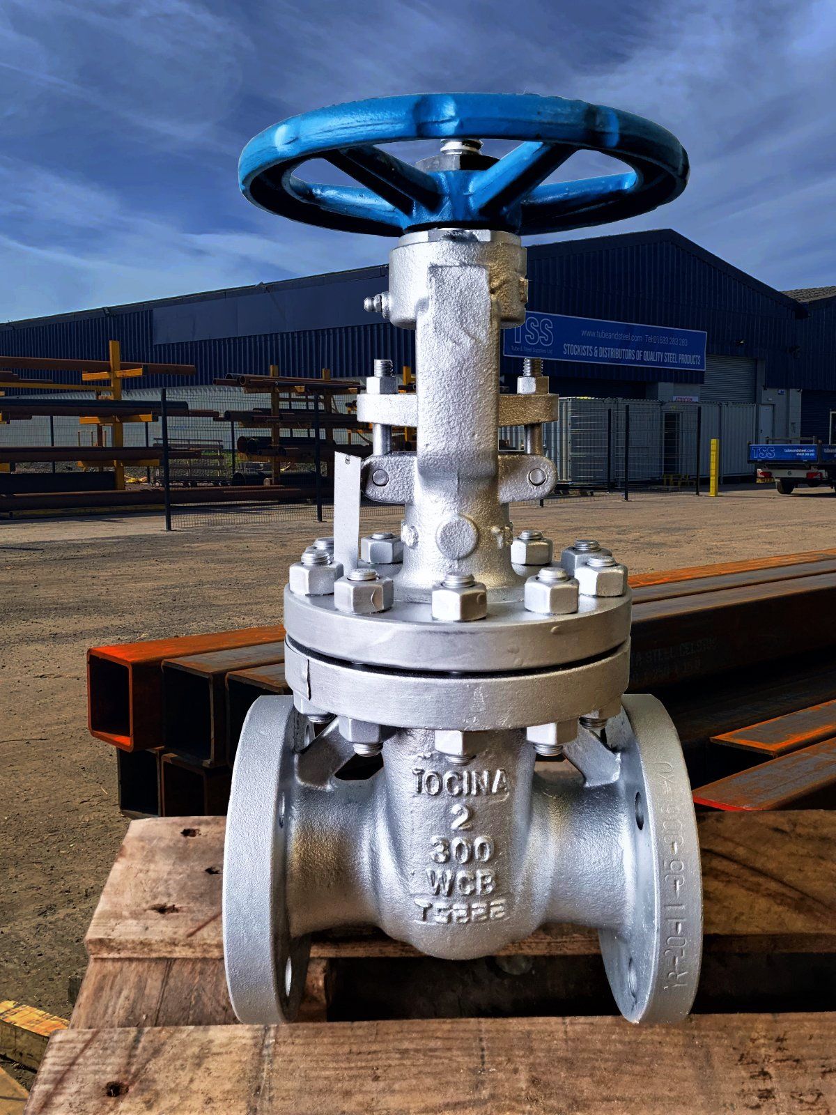 Cast Steel and Cast Iron Gate Valves