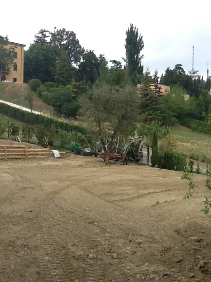 Realizzazione di un giardino