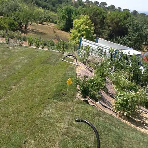 Prato con irrigazione