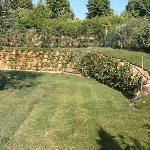 Giardino con sistema di irrigazione