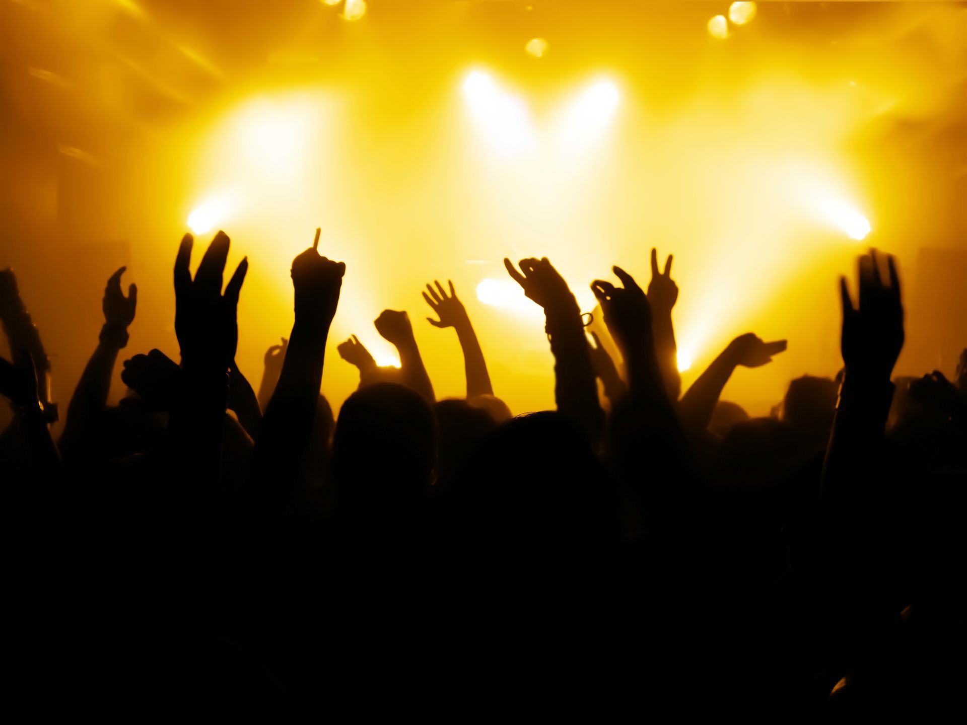 A crowd of people with their hands in the air at a concert