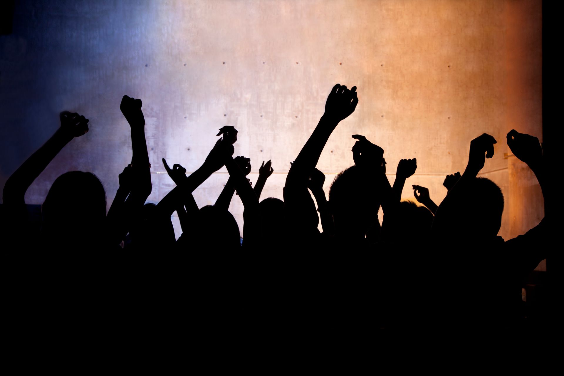 A crowd of people with their hands in the air