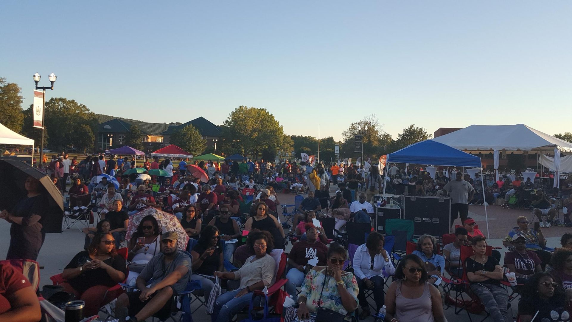 A large group of people are sitting in a park watching a concert.