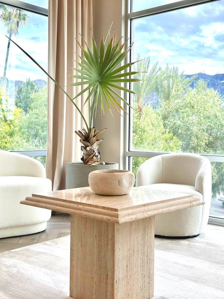 A coffee table with a plant on top of it in a living room.