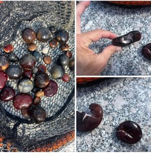 Stones in net and in hand, some cracked. Colors include reds, browns, and grays, on a textured surface.