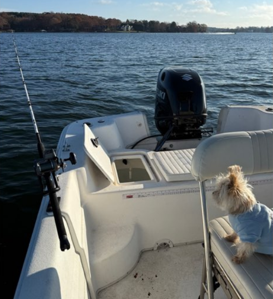 Dog in blue sweater on boat, fishing rod, water, shoreline in background.