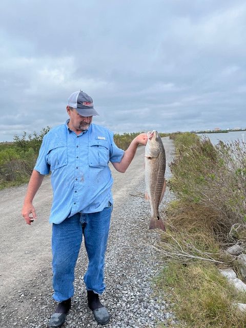 Man holds a redfish on a dirt road next to marshland under an overcast sky.