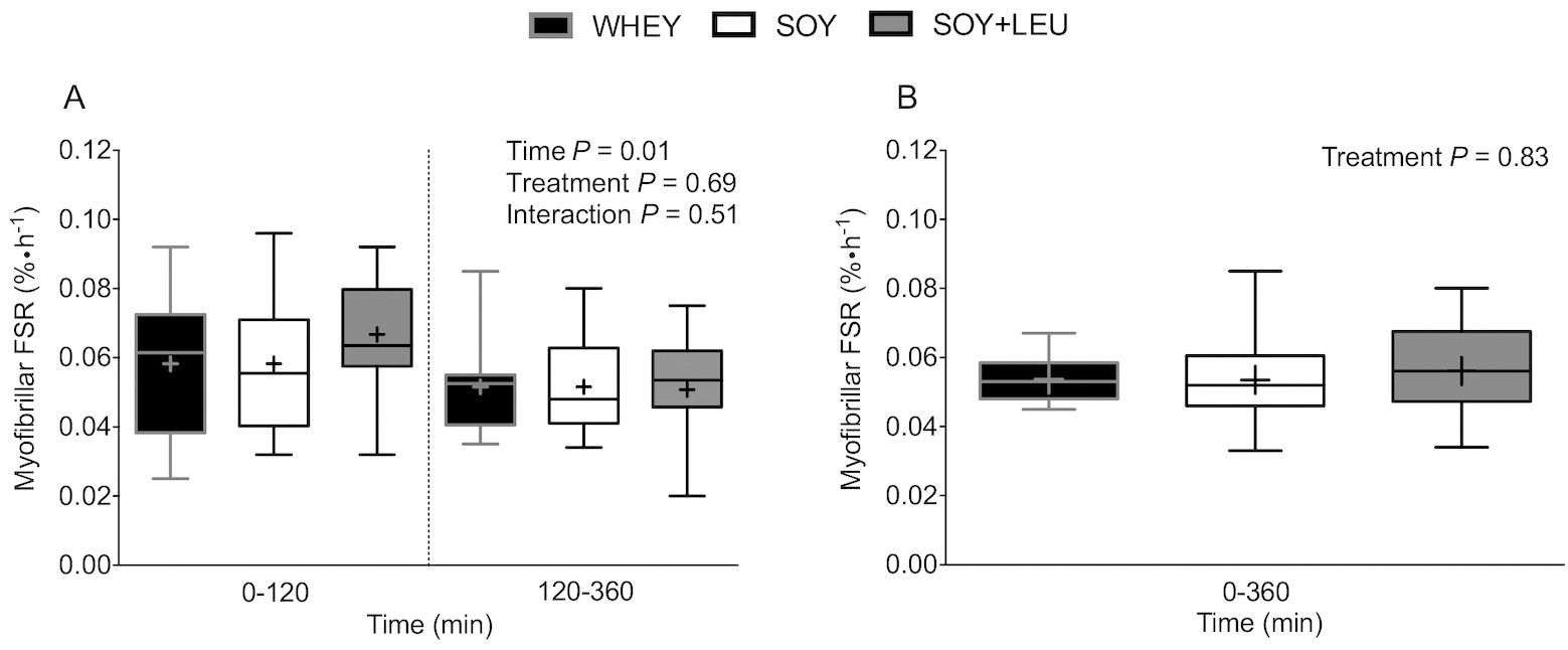 Myofibrillar muscle protein synthesis after concurrent exercise followed by the consumption of either whey, soy or soy with the same amount of leucine as in whey. Images displaying the early (0 -2 hours) and late (2 - 6 hours) muscle protein synthetic response and the aggregate over the full 6 hours