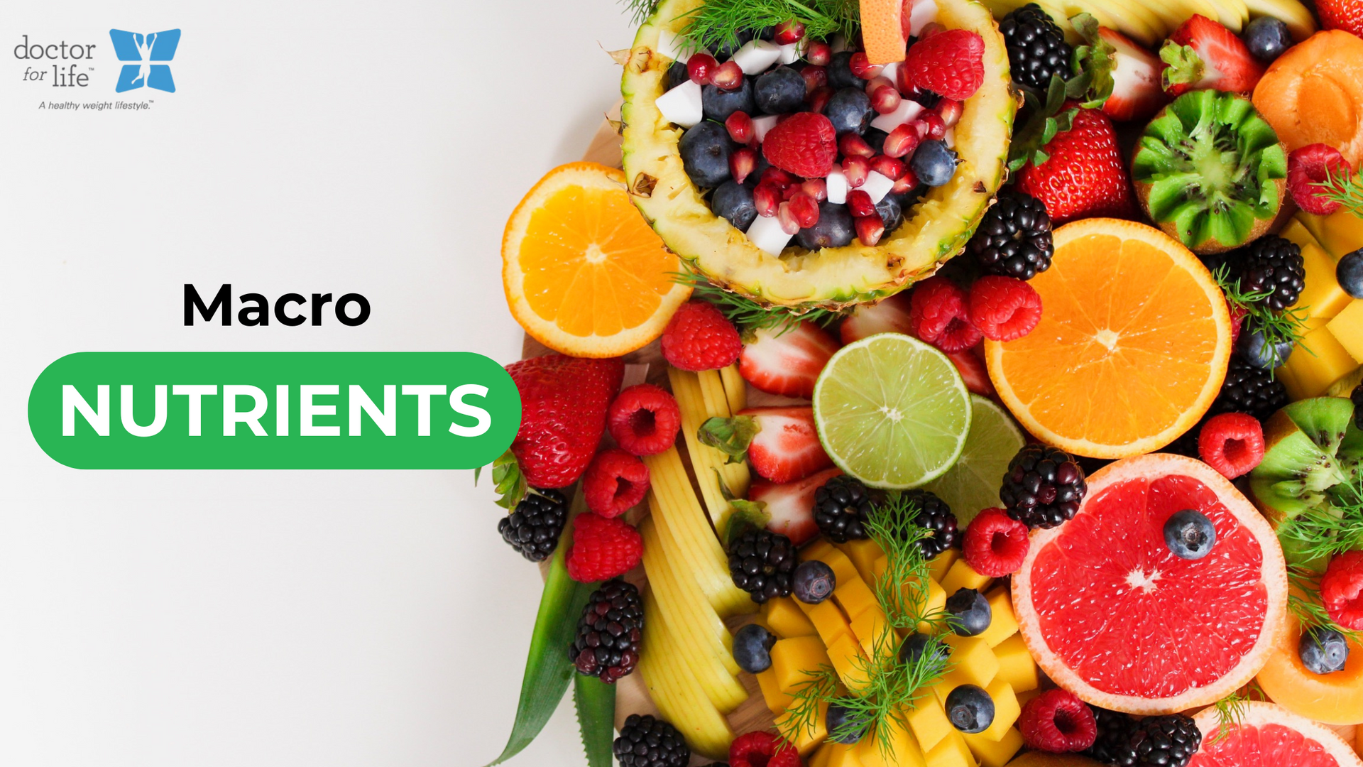 Importance of Macronutrients