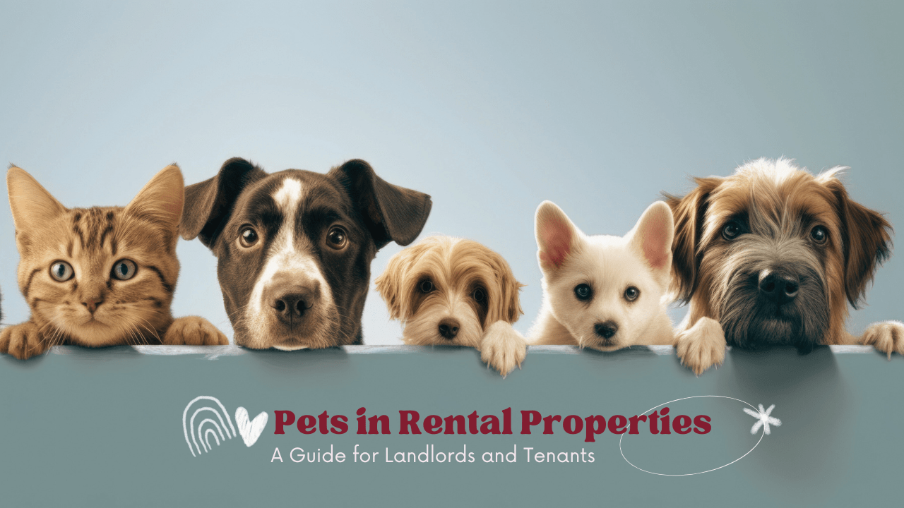 Pets in Rental Properties: A Guide for Landlords and Tenants in Merced County - Article Banner