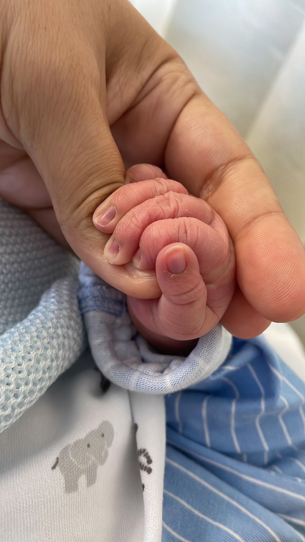 Close-up of baby’s hand holding parent’s finger, symbolising connection after birth