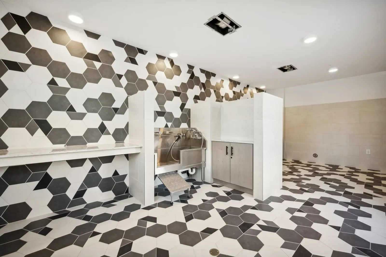 Modern pet grooming station featuring a large stainless steel sink, adjustable faucets, and a non-slip mat, with stylish hexagon tile accents on the walls and floor.